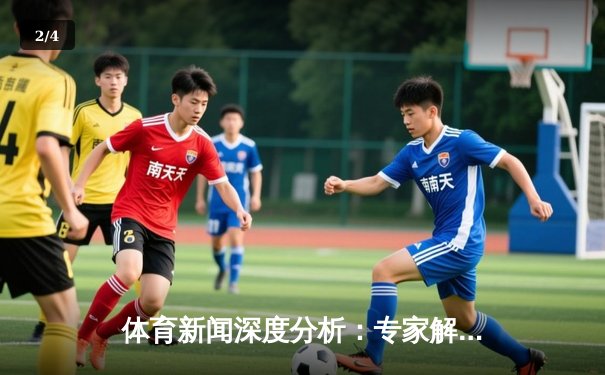 体育新闻深度分析：专家解读 - 2
